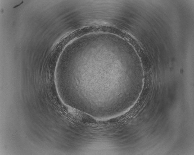 X0000064720919200602171612