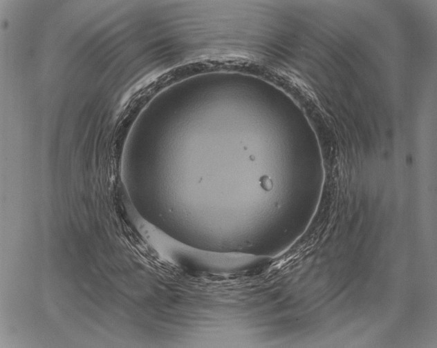 X0000064720920200602171612