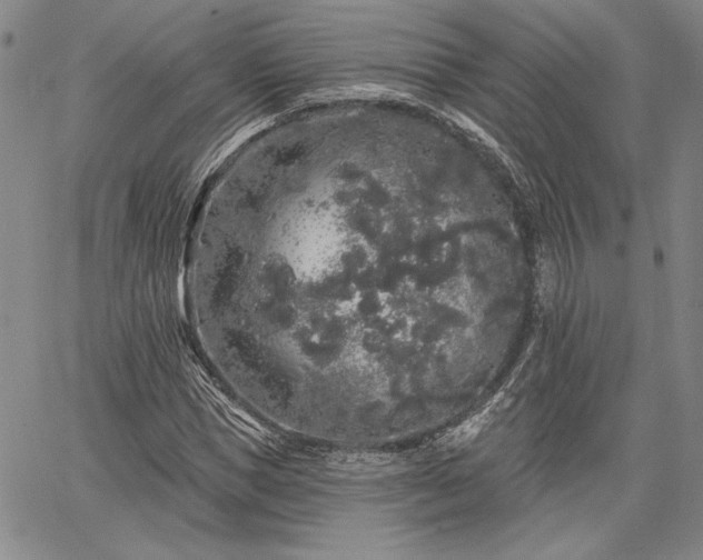 X0000064720921200602171612