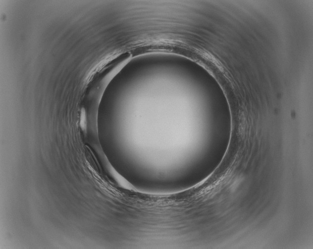 X0000064720922200602171612