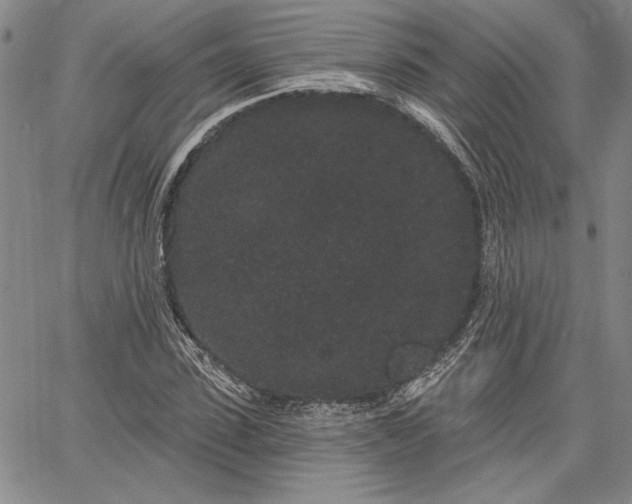 X0000064720923200602171612