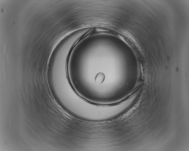 X0000064720924200602171612