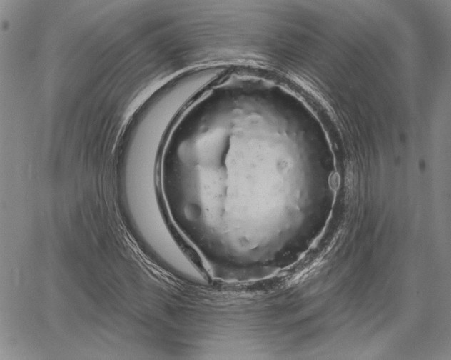 X0000064720925200602171612