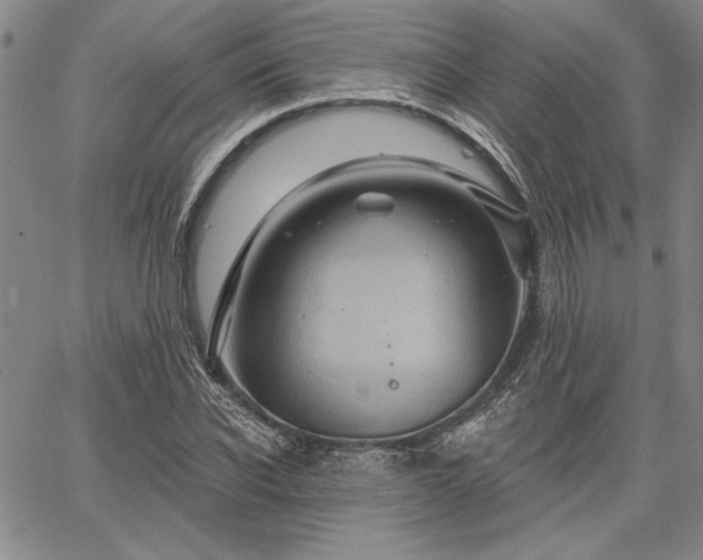 X0000064720926200602171612