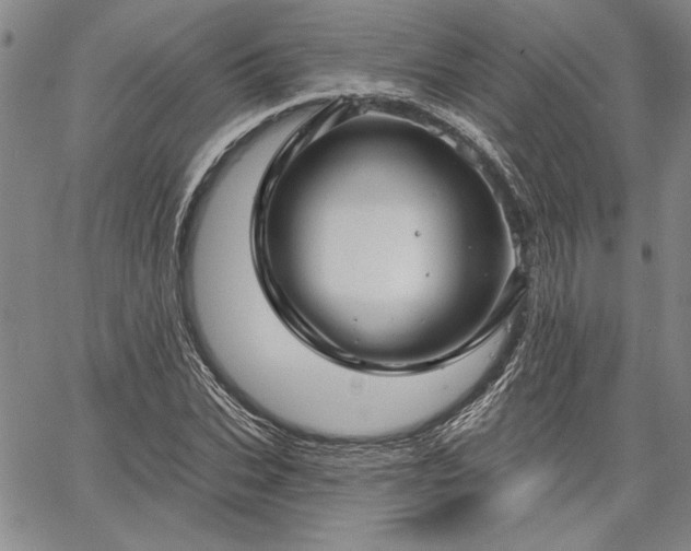 X0000064720927200602171612