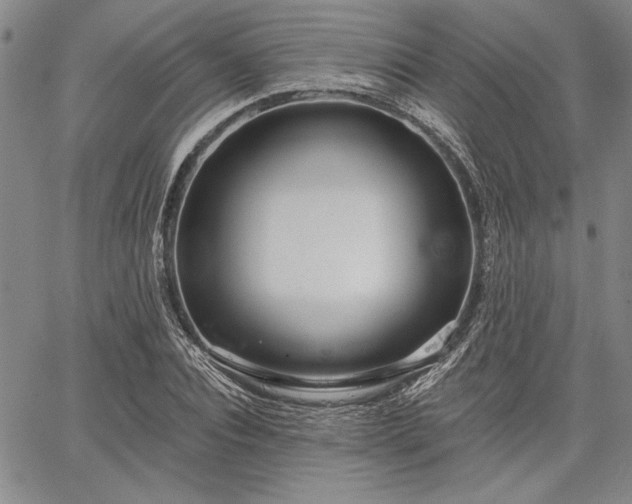 X0000064720928200602171612