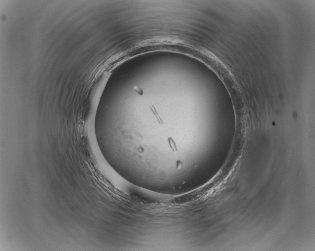 X0000064720929200602171612