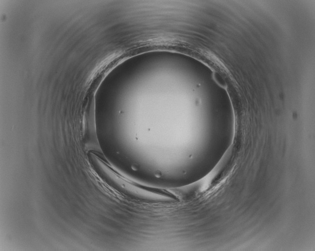 X0000064720930200602171612