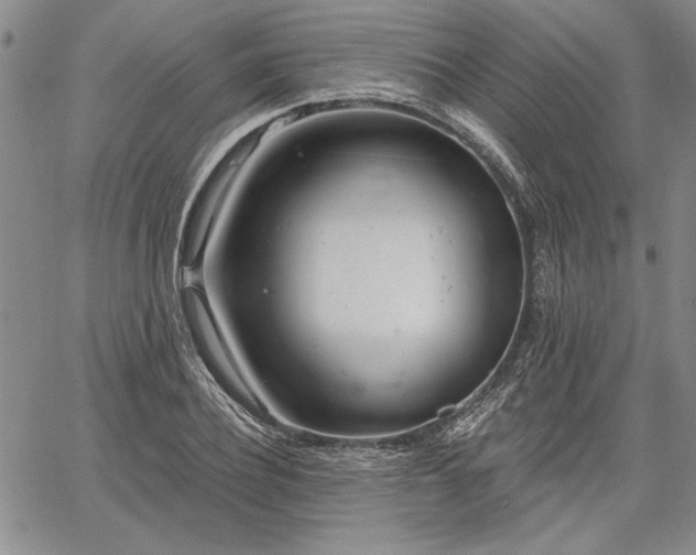 X0000064720932200602171612