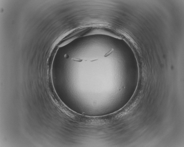 X0000064720933200602171612