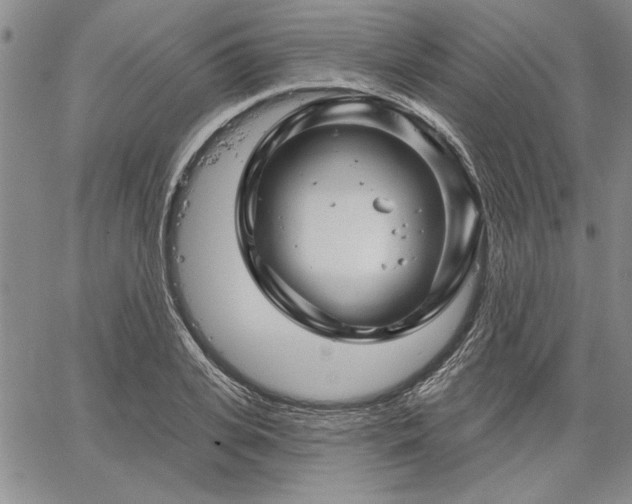 X0000064720935200602171612