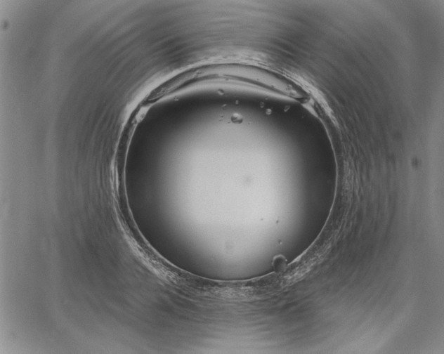 X0000064720936200602171612