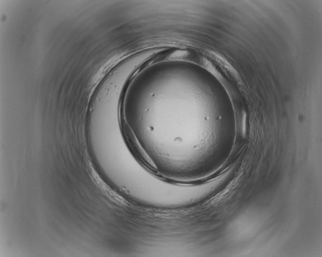 X0000064720938200602171612