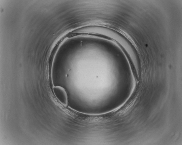 X0000064720939200602171612