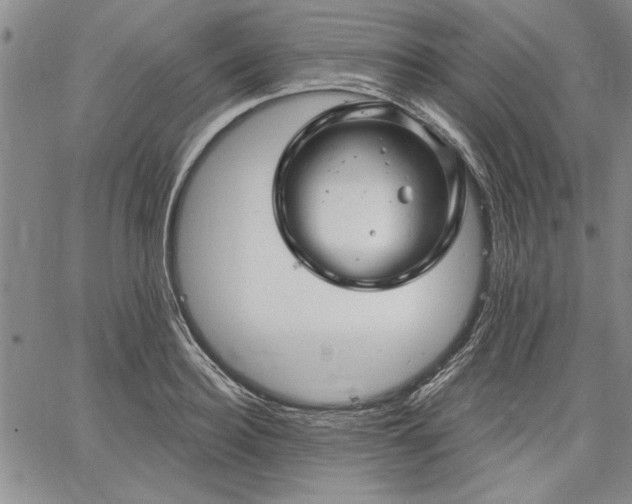 X0000064720940200602171612