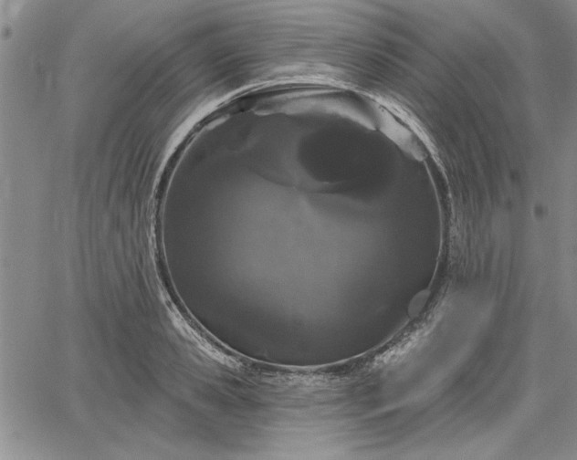 X0000064720941200602171612