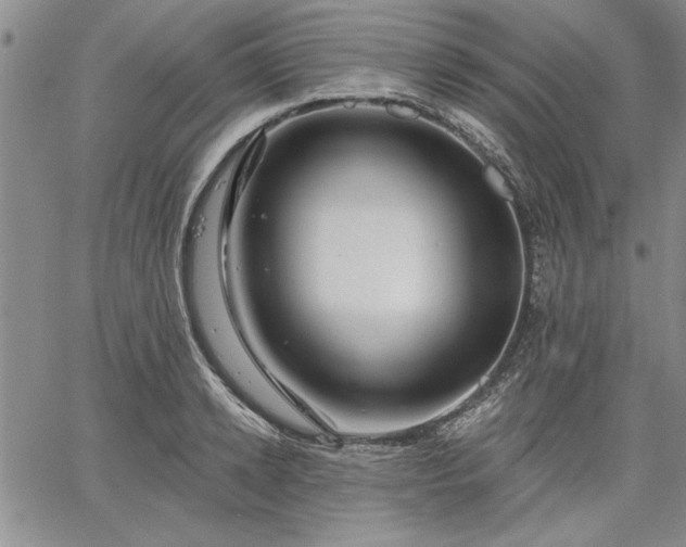 X0000064720942200602171612