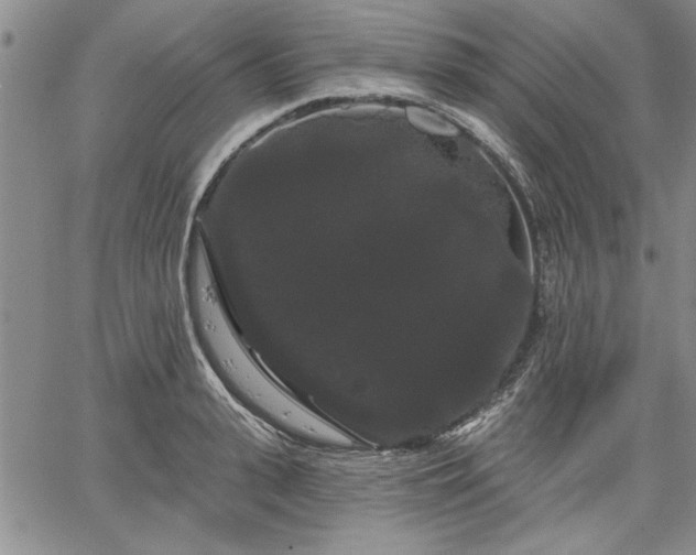 X0000064720943200602171612