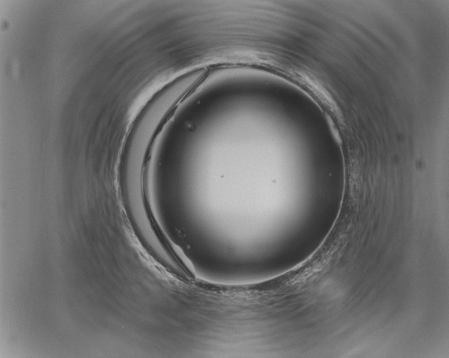 X0000064720944200602171612