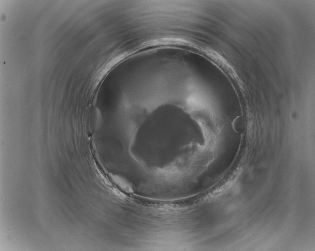 X0000064720945200602171612