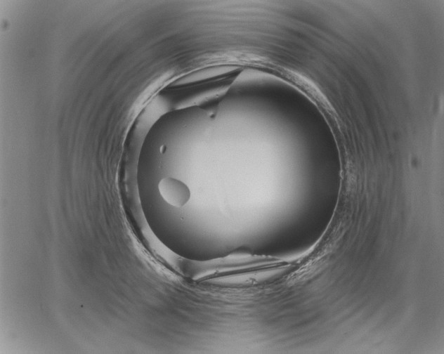 X0000064720946200602171612