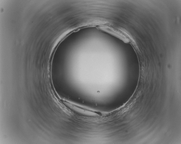 X0000064720948200602171612