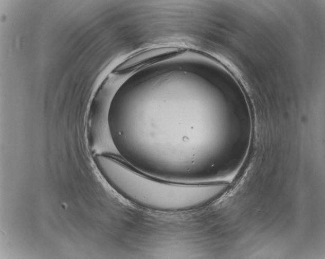 X0000064720949200602171612