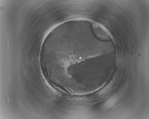 X0000064720951200602171612