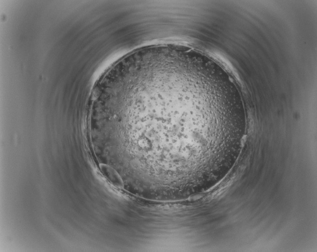 X0000064720952200602171612