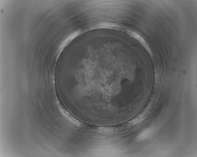 X0000064720954200602171612