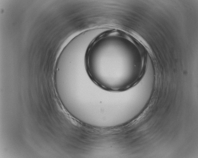 X0000064720956200602171612