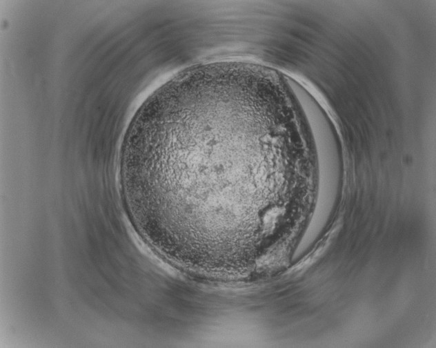 X0000064720957200602171612