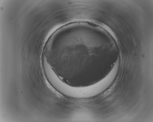 X0000064720958200602171612