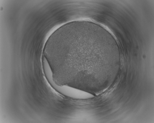 X0000064720959200602171613