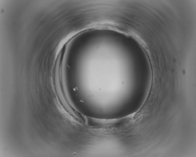 X0000064720960200602171613