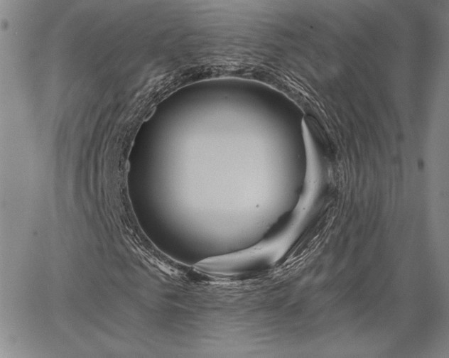 X0000064720961200602171612