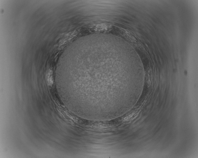 X0000064720962200602171612