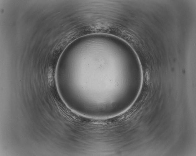 X0000064720963200602171612