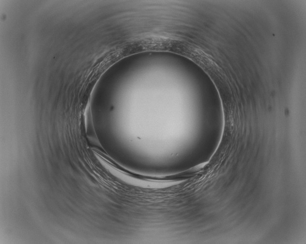 X0000064720964200602171612