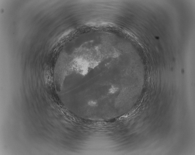 X0000064720966200602171612