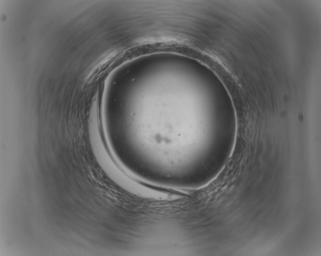 X0000064720967200602171612