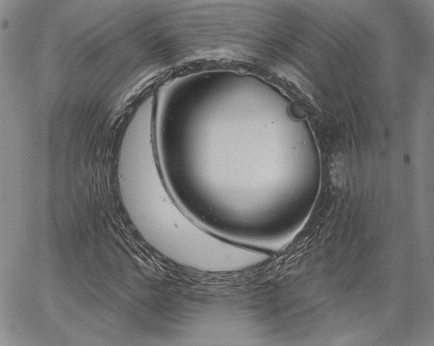 X0000064720968200602171612