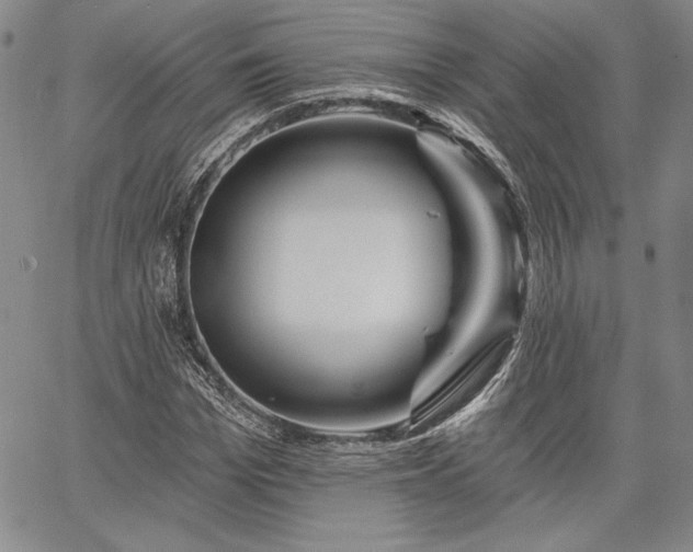 X0000064720969200602171612