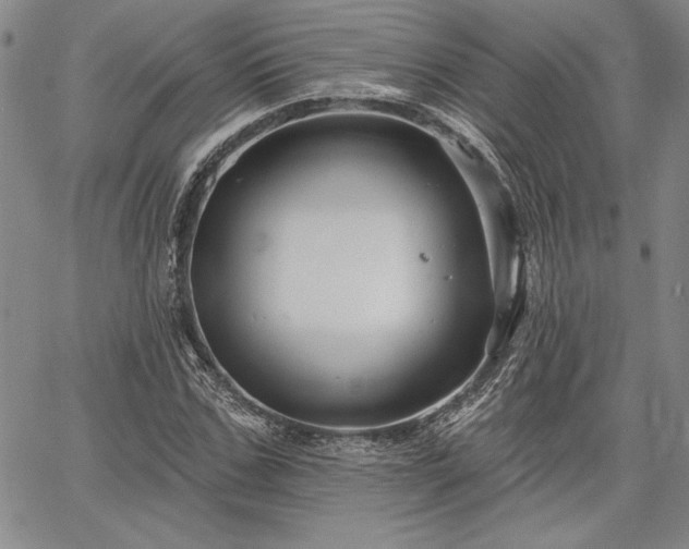 X0000064720971200602171612