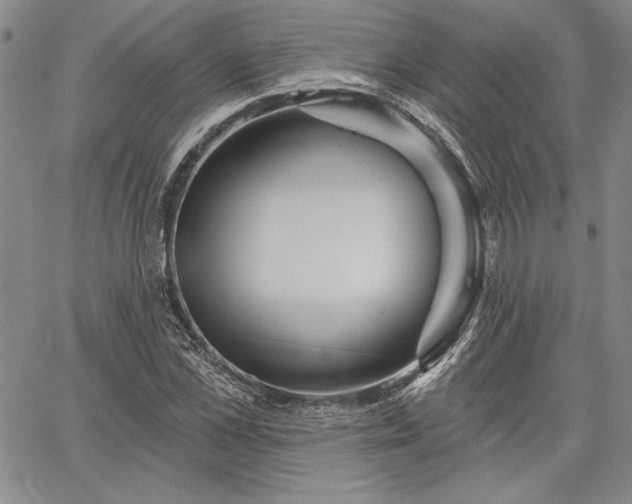 X0000064720973200602171612