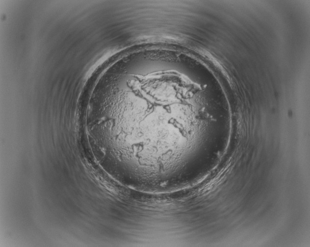 X0000064720975200602171612