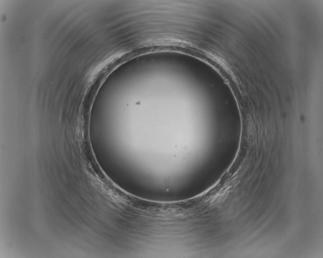 X0000064720979200602171611