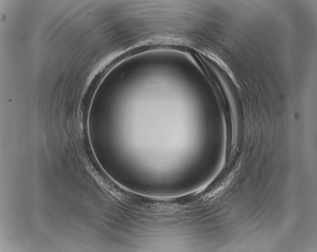 X0000064720981200602171611