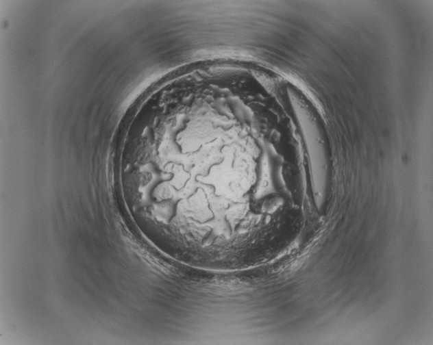 X0000064720983200602171611