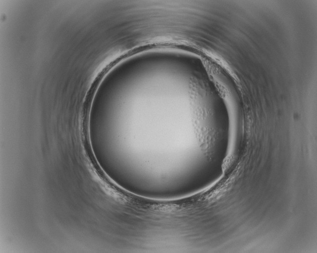 X0000064720991200602171611